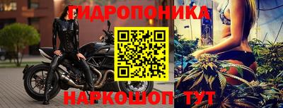 гидра Гусиноозёрск