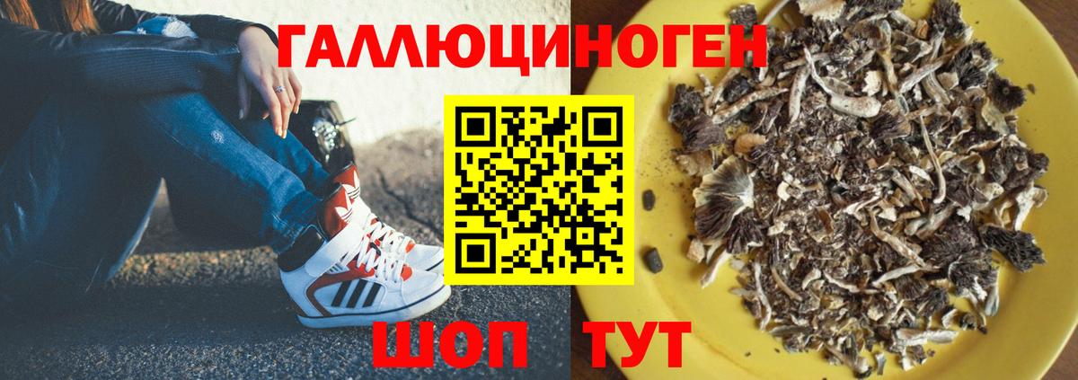 Видное  Галлюциногенные грибы ЛСД  Вход с VPN 